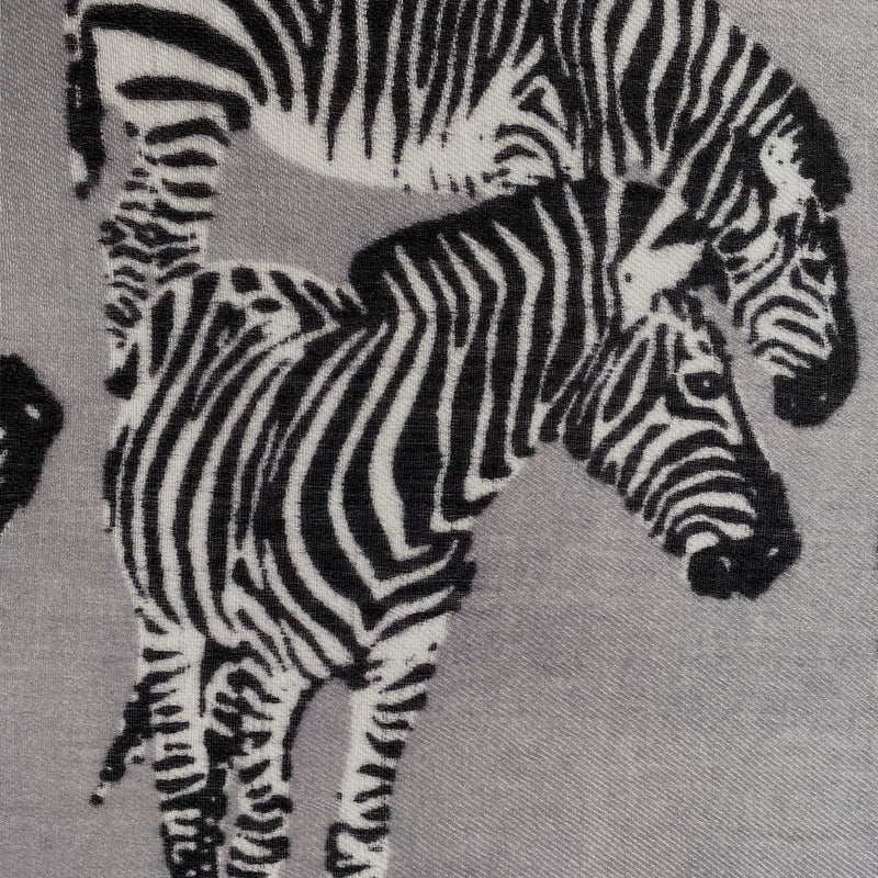 ZEBRA FAMILY